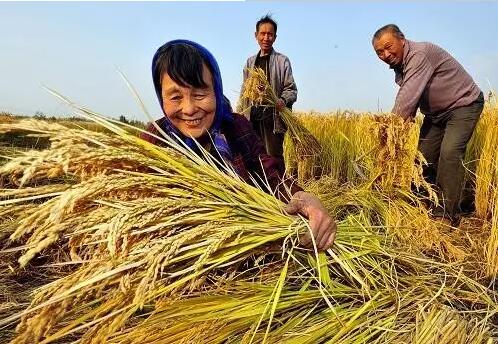 重磅！繼包產(chǎn)到戶之后，我國農(nóng)村又一次迎來重大改革